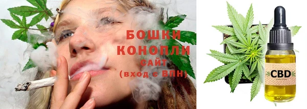 прущие грибы Рославль