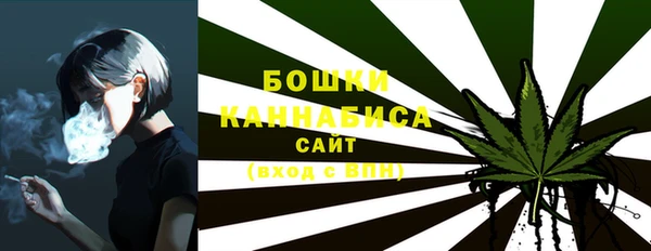 прущие грибы Рославль