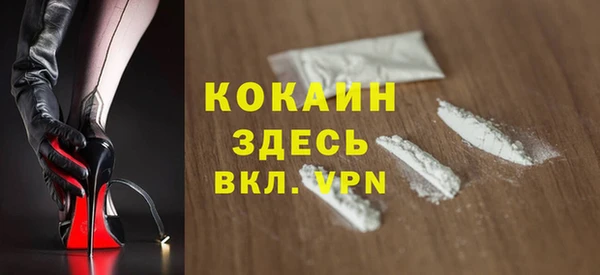 прущие грибы Рославль