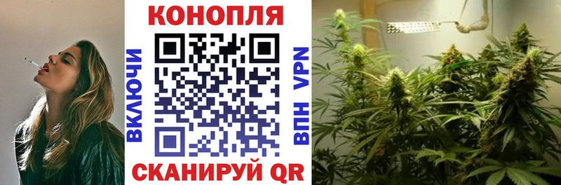 где можно купить наркотик  Судак  Канабис тримм 